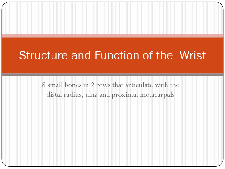 structure and function of the wrist