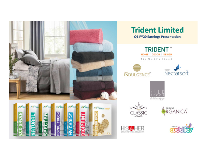 trident limited trident limited