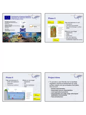 Phase II  in the European Union  Neil Mackay, Dave Arnold PEC Excreta PEC Soil  Fate and behaviour