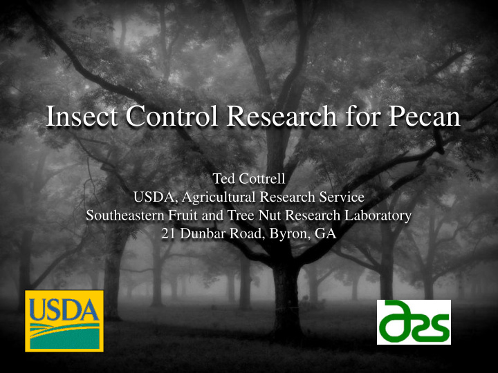 insect control research for pecan