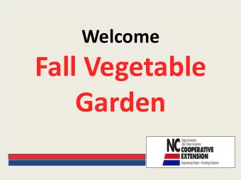 Fall Vegetable Garden  A Successful Garden  Good Siting  Sunlight  at least 6 hrs.  Good