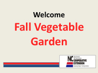 fall vegetable garden a successful garden good siting