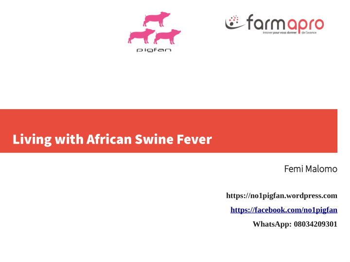 living with african swine fever