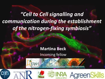 Cell to Cell signalling and  communication during the establishment of the nitrogen-fixing