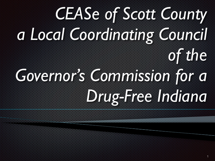 cease of scott county a local coordinating council of the