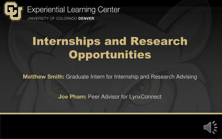 internships and research opportunities