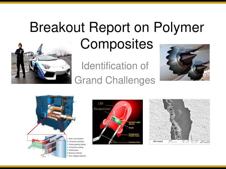 breakout report on polymer