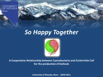 So Happy Together A Cooperative Relationship between Cyanobacteria and Escherichia Coli  for the