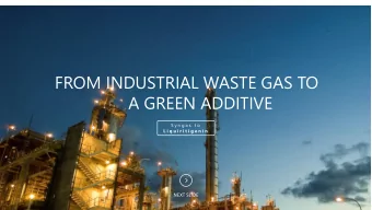 FROM INDUSTRIAL WASTE GAS TO  A GREEN ADDITIVE  S y n g a s  t o  L i q u i r i t i g e n i n  NEXT