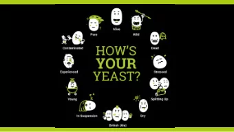 Introduction    Dr. Ulrich M. Tillich    Co-CEO &amp; CTO at Oculyze    Co-founded the