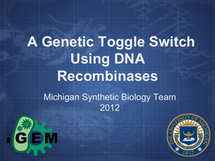 a genetic toggle switch using dna recombinases