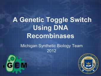 A Genetic Toggle Switch  Using DNA  Recombinases  Michigan Synthetic Biology Team  2012  Switch