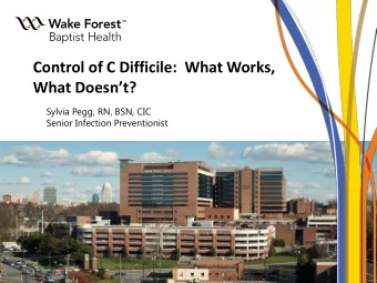 Control of C Difficile:  What Works,  What Doesnt?  Sylvia Pegg, RN, BSN, CIC  Senior Infection