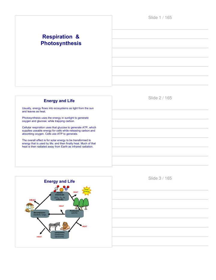 respiration amp photosynthesis