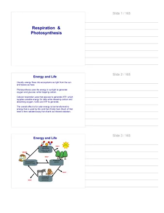 Respiration  &amp;  Photosynthesis  Slide 2 / 165  Energy and Life  Usually, energy flows into