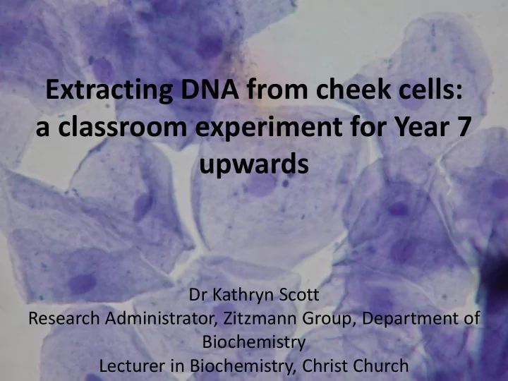 a classroom experiment for year 7