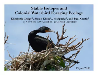 15 N ()     Relative Trophic Position   Feathers from  Nestling Birds  Feathers from