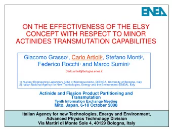 ON THE EFFECTIVENESS OF THE ELSY  CONCEPT WITH RESPECT TO MINOR  ACTINIDES TRANSMUTATION