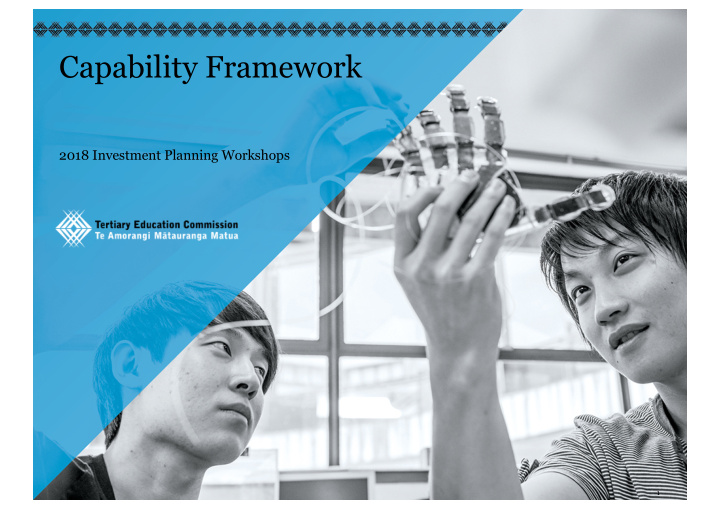 capability framework