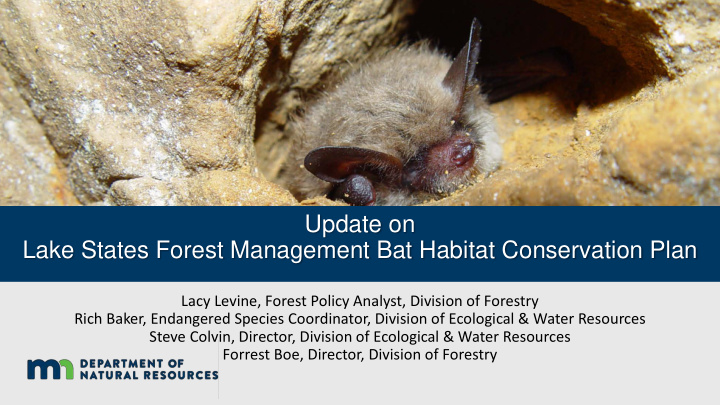 update on lake states forest management bat habitat
