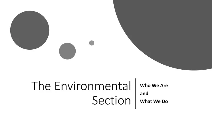 the environmental
