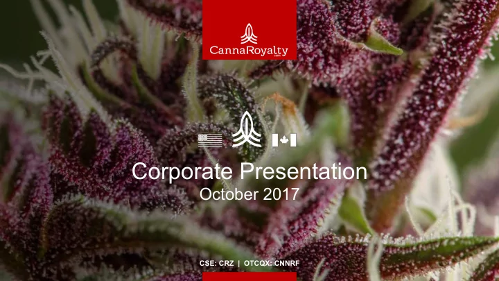 corporate presentation