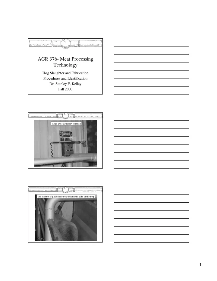 agr 376 meat processing technology