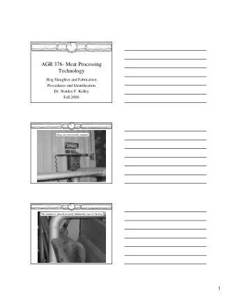 AGR 376- Meat Processing  Technology  Hog Slaughter and Fabrication  Procedures and Identification