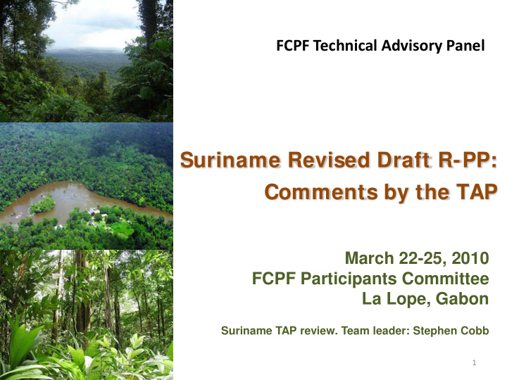suriname revised draft r pp comments by the tap