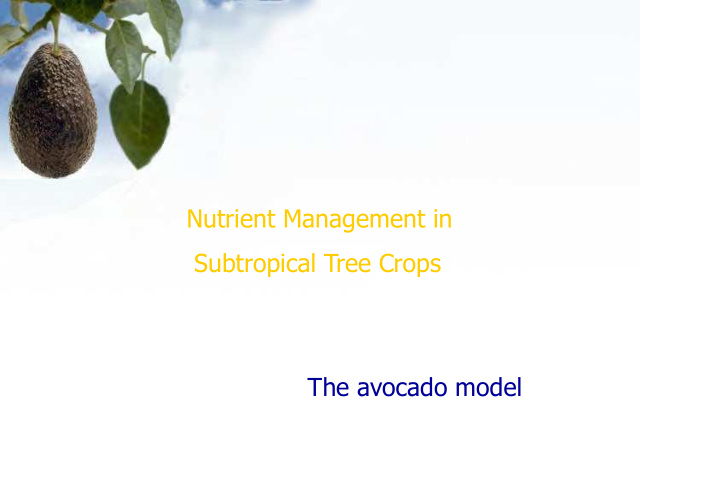 nutrient management in subtropical tree crops the avocado