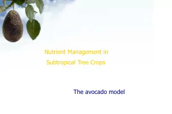 Nutrient Management in  Subtropical Tree Crops  The avocado model  Avocado Fertilization  Tissue