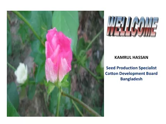 KAMRUL HASSAN  Seed Production Specialist  Cotton Development Board  Bangladesh  Title:  Influence