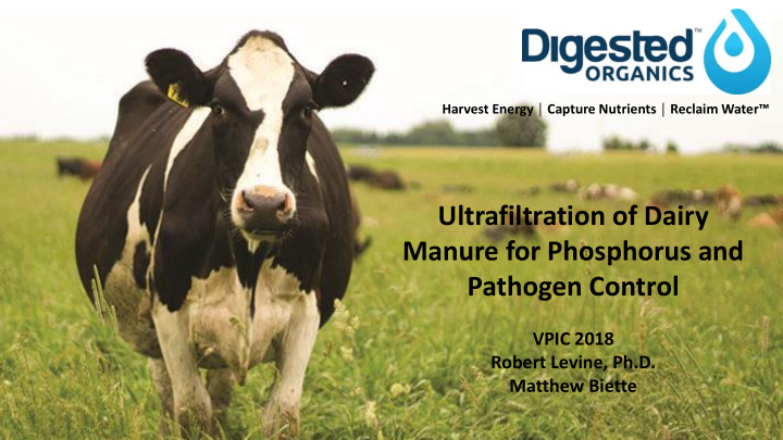 ultrafiltration of dairy