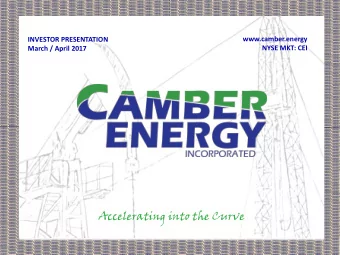 Accelerating into the Curve  Forward-Looking and Cautionary Statements  Safe Harbor Statement and