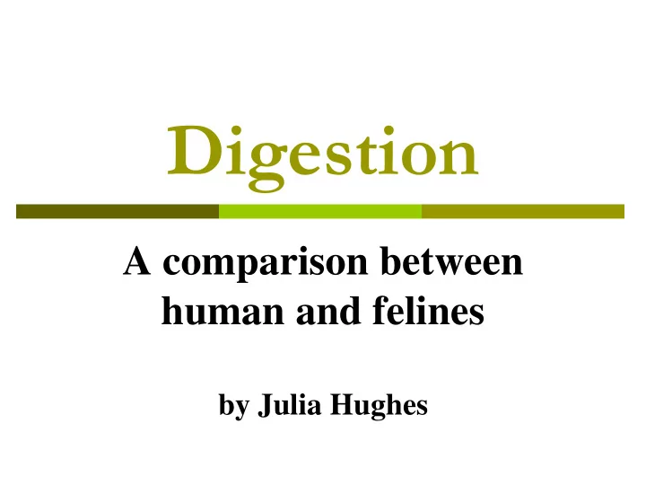 digestion