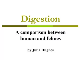 Digestion  A comparison between  human and felines  by Julia Hughes  Definition  Digestion is