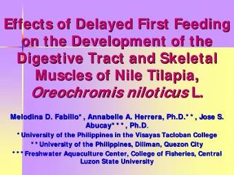 Oreochromis niloticus niloticus L.  L.  Oreochromis  Melodina D.  D. Fabillo  Fabillo* , Annabelle