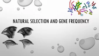 NATURAL SELECTION AND GENE FREQUENCY  WHAT IS THAT?      Natural selection is a key mechanism