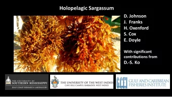 Holopelagic Sargassum  D. Johnson  D. Johnson  J.  Franks  J.  Franks  H. Oxenford  H. Oxenford  S.