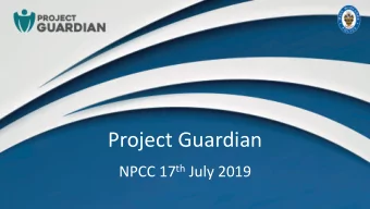 Project Guardian NPCC 17 th July 2019  | PROJECT TEAM STRUCTURE  | SUMMER VIOLENCE PREVENTION