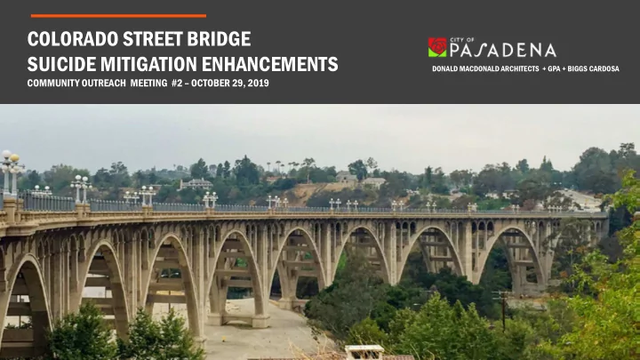 colorado street bridge suicide mitigation enhancements