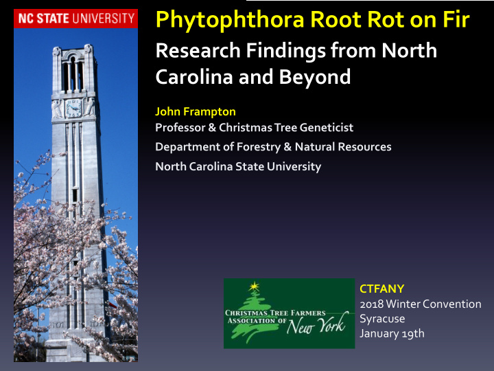 phytophthora root rot on fir