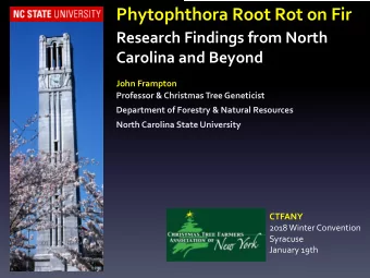 Phytophthora Root Rot on Fir  Research Findings from North  Carolina and Beyond  John Frampton
