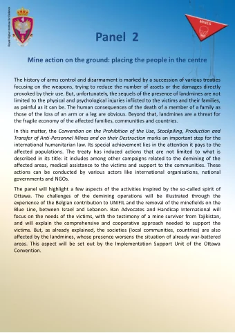 Panel  2  Mine action on the ground: placing the people in the centre  The history of arms control
