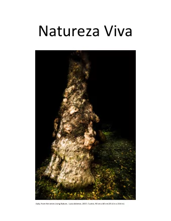 Natureza Viva  Gala, from the series Living Nature,  Lucia Adverse, 2017, C-print, 90 cm x 60 cm