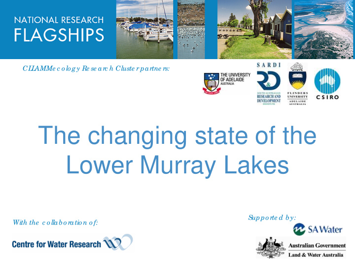 the changing state of the lower murray lakes