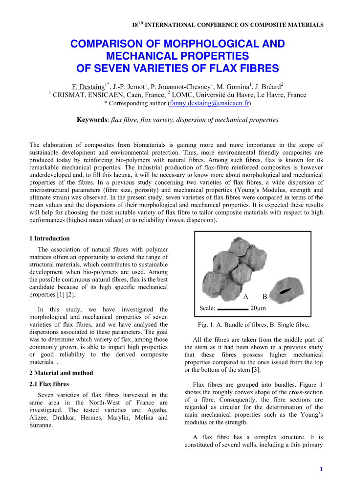 comparison of morphological and mechanical properties of