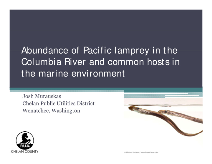 abundance of pacific lamprey in the abundance of pacific