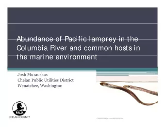 Abundance of Pacific lamprey in the  Abundance of Pacific lamprey in the  Columbia River and common