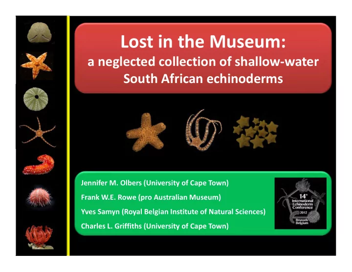 lost in the museum
